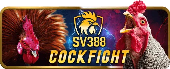Giao dịch nhanh chóng tại 788win